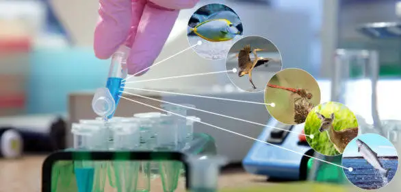 Ilustração do conceito de DNA ambiental, com amostras em tubos de laboratório e ícones de espécies.