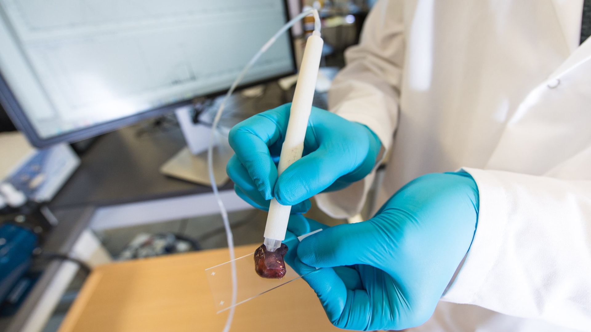 Mãos com luvas azuis seguram um dispositivo em formato de caneta sobre uma amostra de tecido em lâmina de vidro, em ambiente de laboratório.